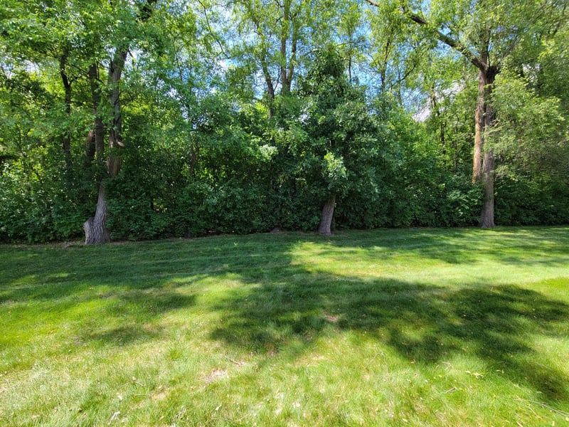 2920 Mounds View Blvd, Mounds View, MN 55112