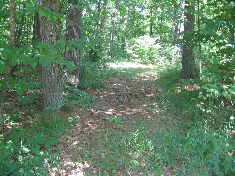 TBD County 5 Nw, Hackensack, MN 56452