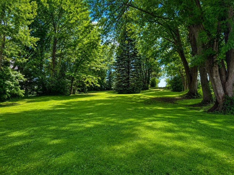 8159 Greer Ave NW, Maple Lake, MN 55358
