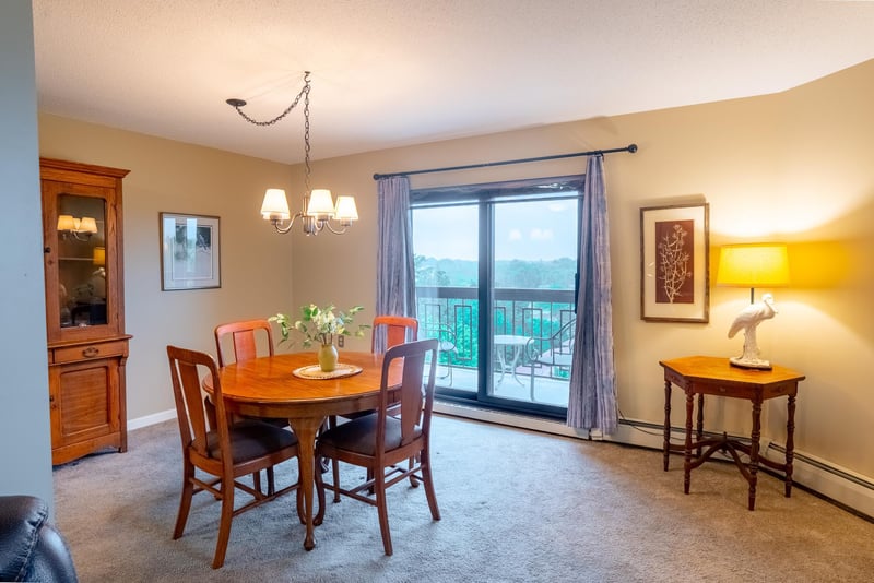 6615 Lake Shore Dr S #917, Richfield, MN 55423