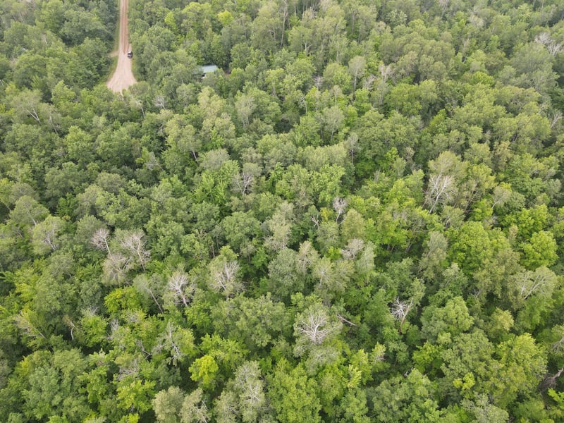 TBD Woodpecker Ln, Sandstone, MN 55072