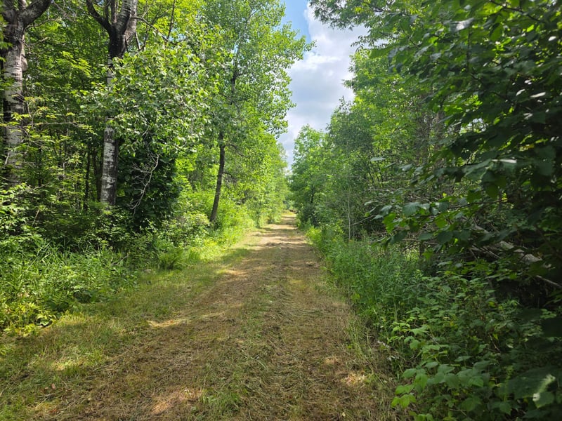 3922 Burnett Rd, Cloquet, MN 55720