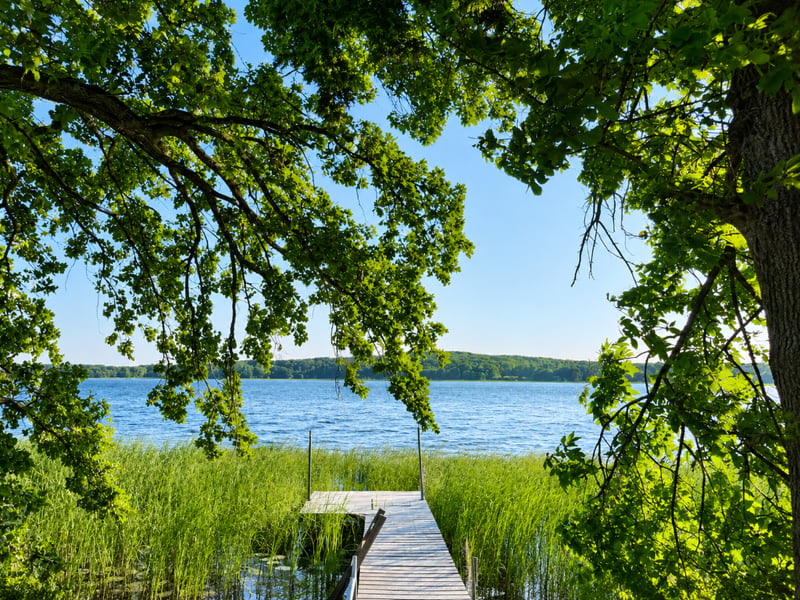 17731 Upper Spunk Lake Rd, Avon, MN 56310