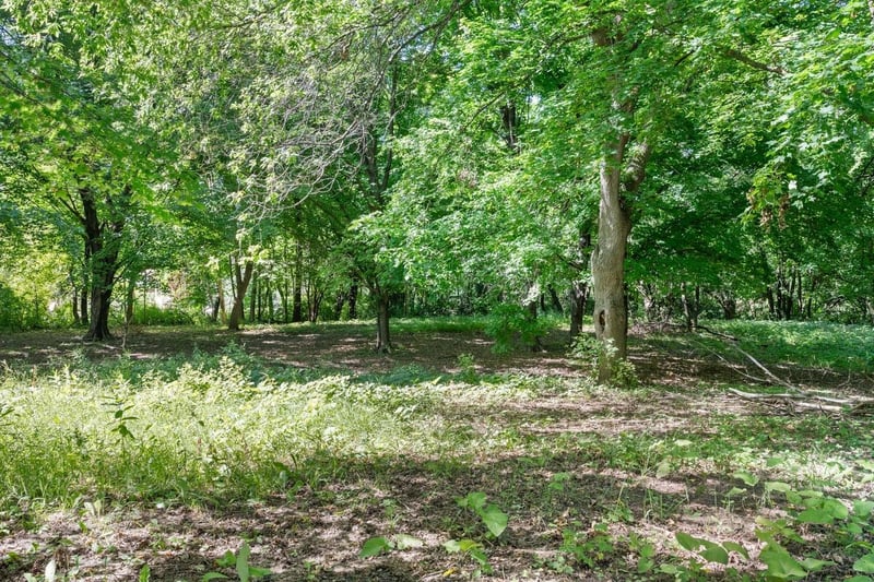 TBD Gabler Ave SE, Buffalo, MN 55313