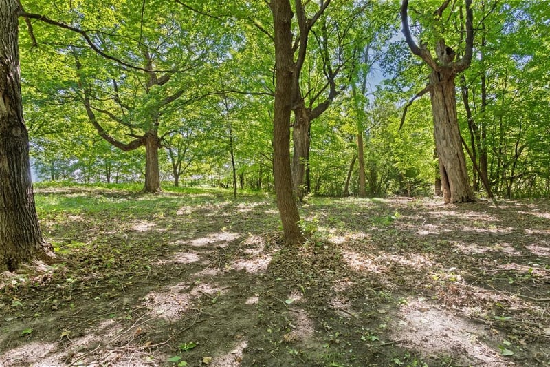 TBD Gabler Ave SE, Buffalo, MN 55313