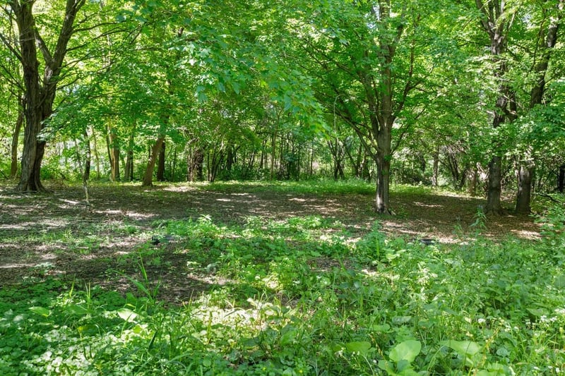 TBD Gabler Ave SE, Buffalo, MN 55313