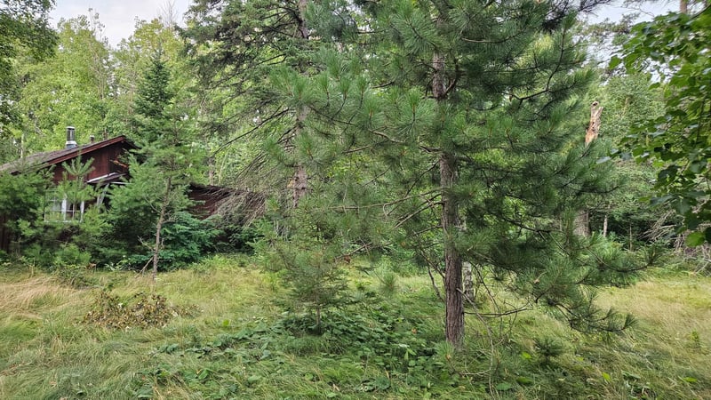 7712 County Road 13, Nisswa, MN 56468
