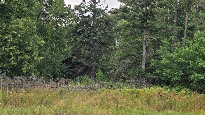 7712 County Road 13, Nisswa, MN 56468
