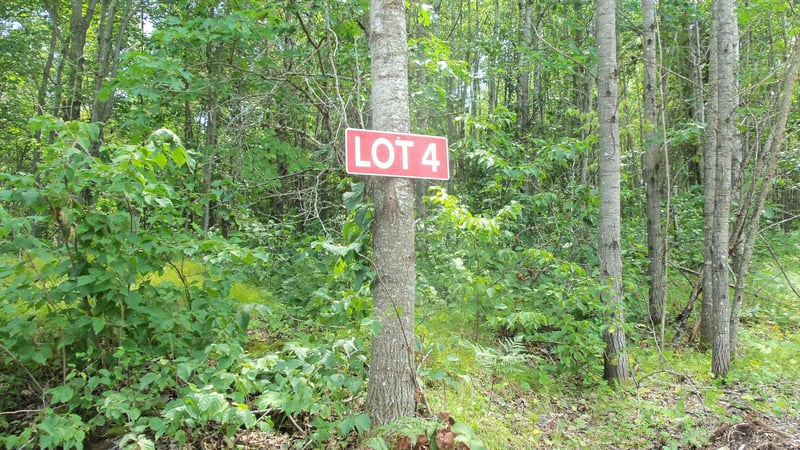 Lot 4 Birch Tree Trl, Spooner, WI 54801