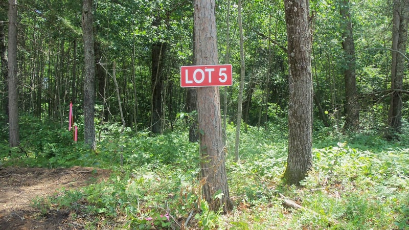 Lot 5 Brch Tree Trl, Spooner, WI 54801