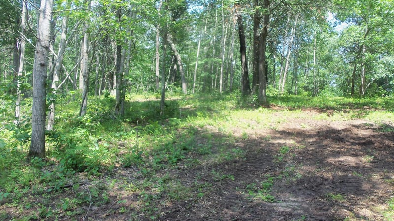 Lot 6 Birch Tree Trl, Spooner, WI 54801
