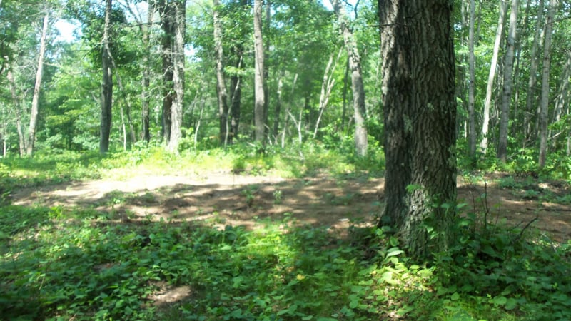 Lot 6 Birch Tree Trl, Spooner, WI 54801