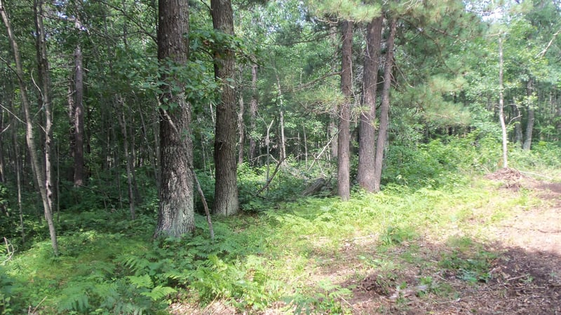Lot 7 Birch Tree Trl, Spooner, WI 54801