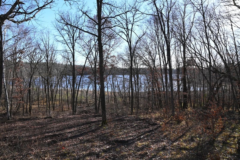 TBD51 Ottawa Dr, Browerville, MN 56438