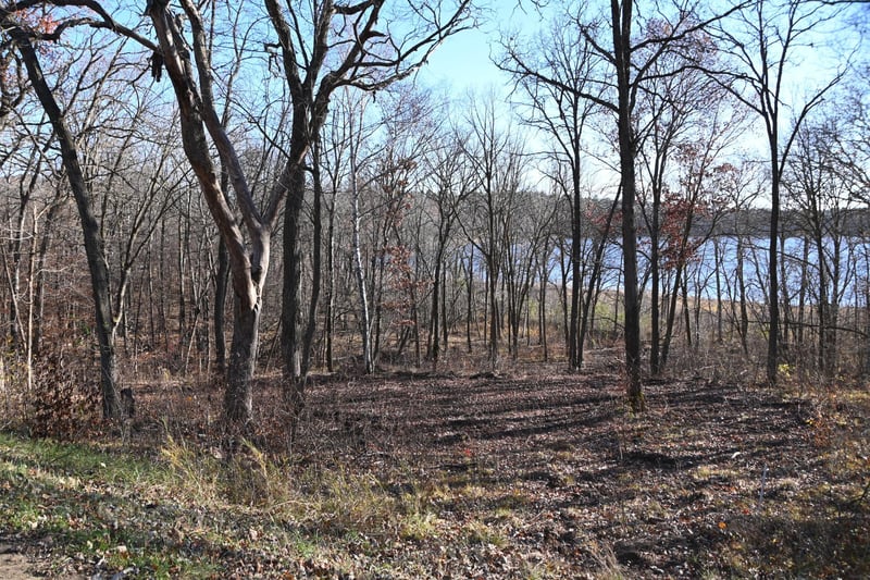 TBD51 Ottawa Dr, Browerville, MN 56438