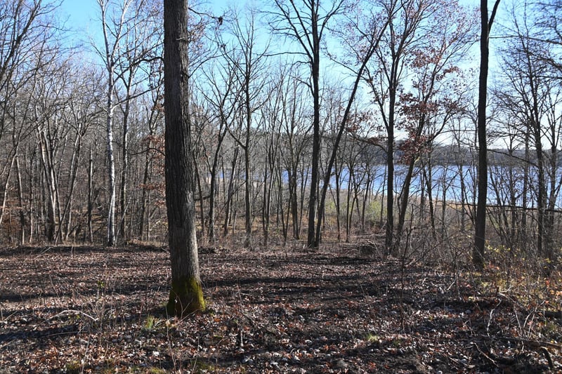 TBD51 Ottawa Dr, Browerville, MN 56438