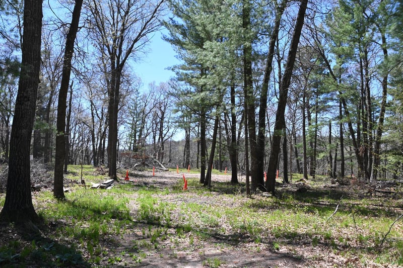 38903 Odin Ct, Browerville, MN 56438