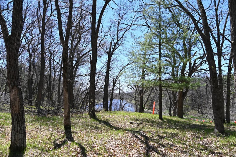 38903 Odin Ct, Browerville, MN 56438