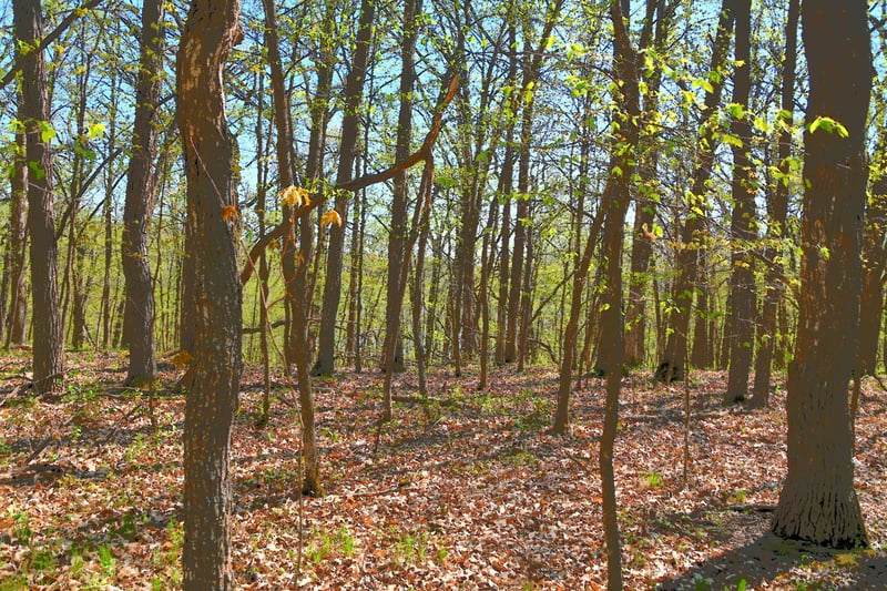 TBD 392 St, Fawn Lake Twp, MN 56438