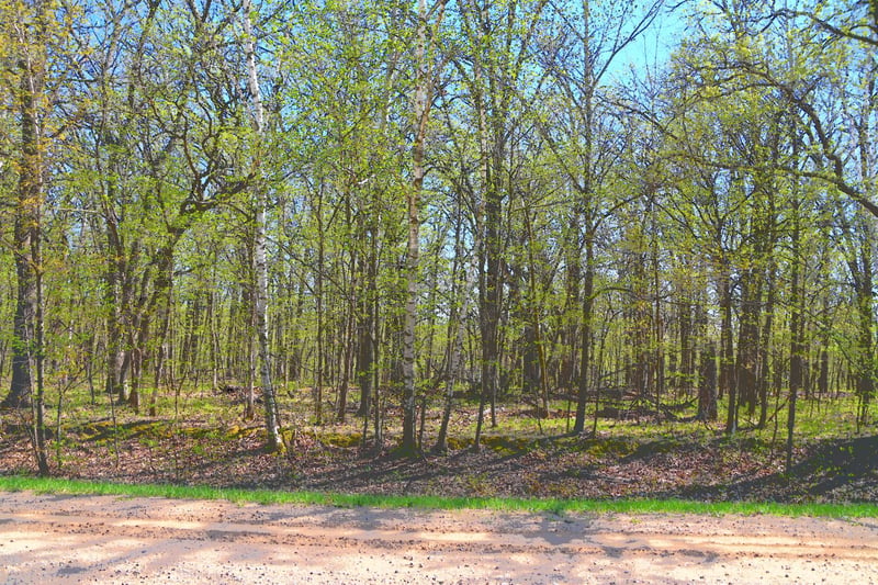 TBD 392 St, Fawn Lake Twp, MN 56438