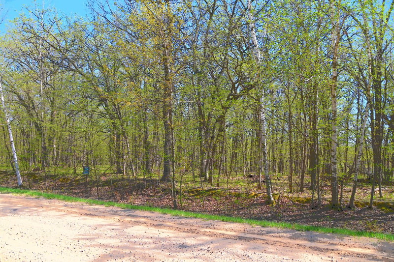 TBD 392 St, Fawn Lake Twp, MN 56438