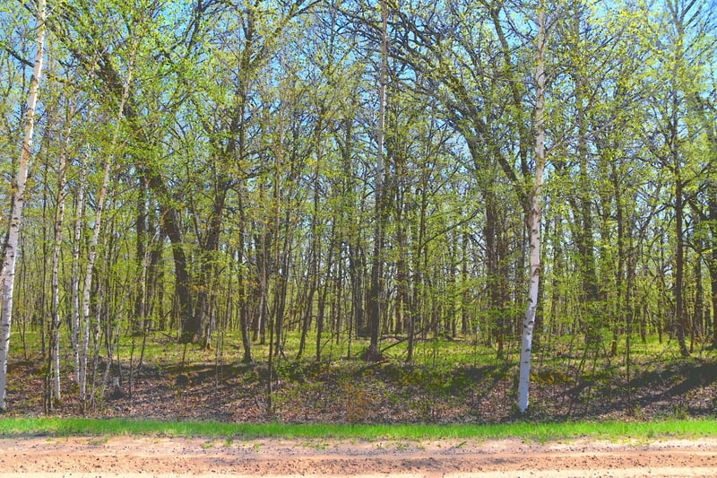 TBD 392 St, Fawn Lake Twp, MN 56438