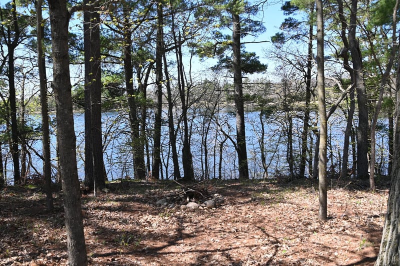 40039 County Rd 17, Browerville, MN 56438
