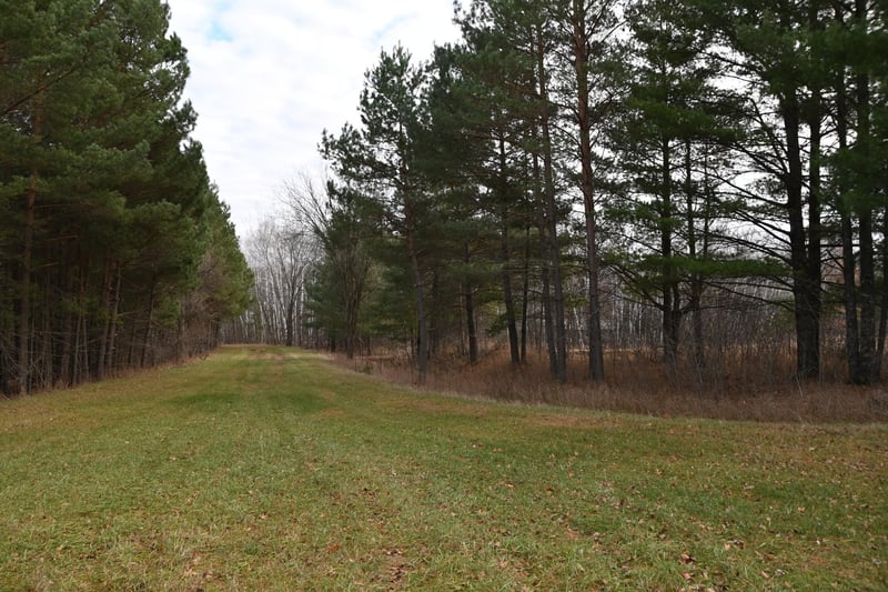 28969 Pequot Ct, Browerville, MN 56438