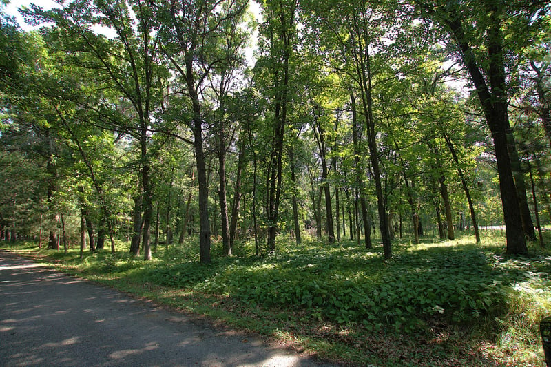 TBD River Ridge Cir, Staples, MN 56479