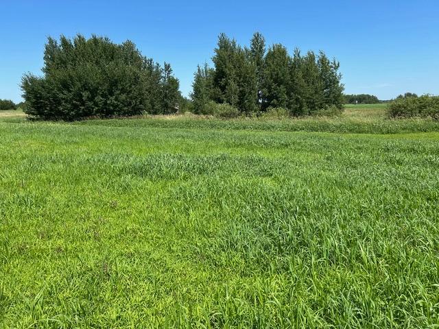 TBD 210th St, Glenwood, MN 56334