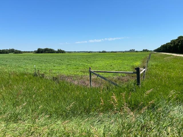 TBD 210th St, Glenwood, MN 56334