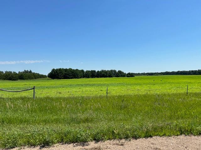TBD 210th St, Glenwood, MN 56334