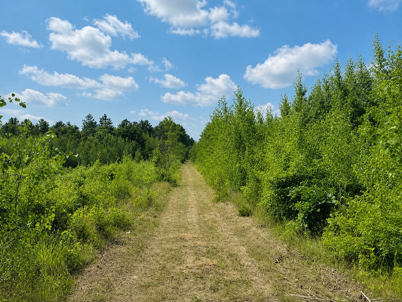 TBD Chimney Rd, Nevis, MN 56467