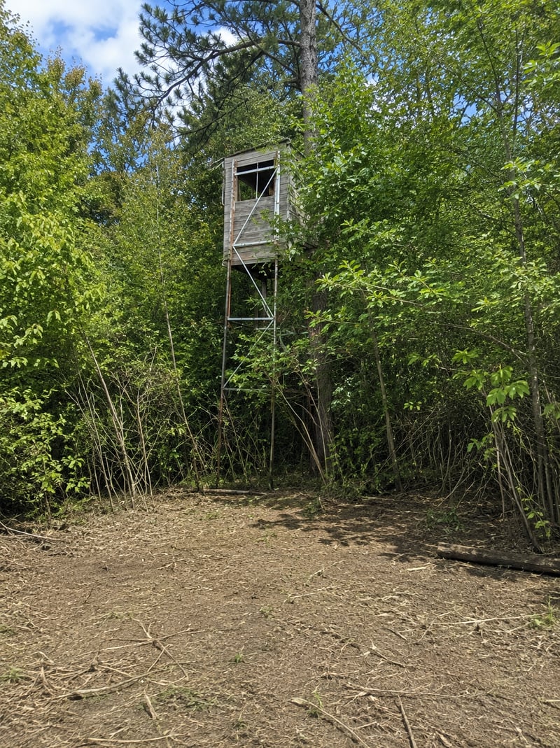 TBD Chimney Rd, Nevis, MN 56467