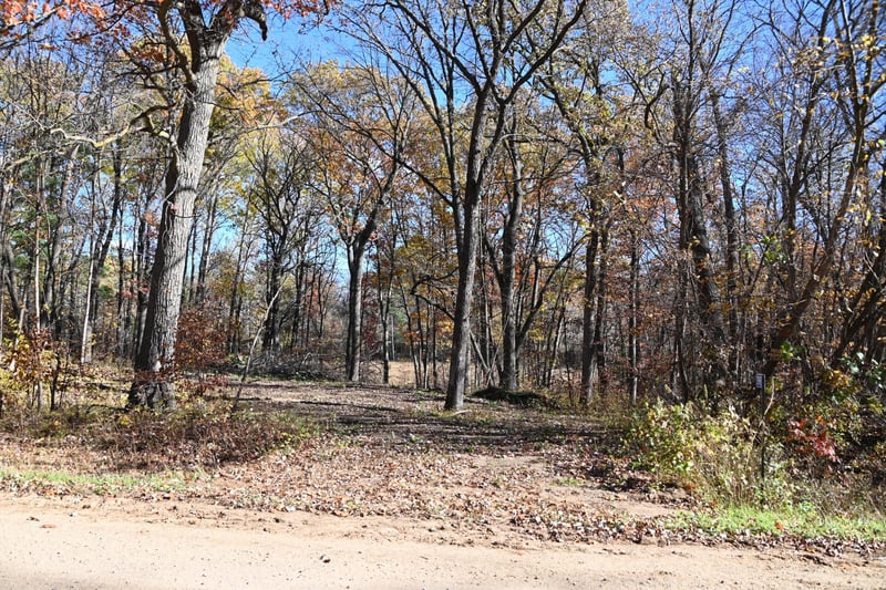 39884 Pine Island Pt Dr, Browerville, MN 56438