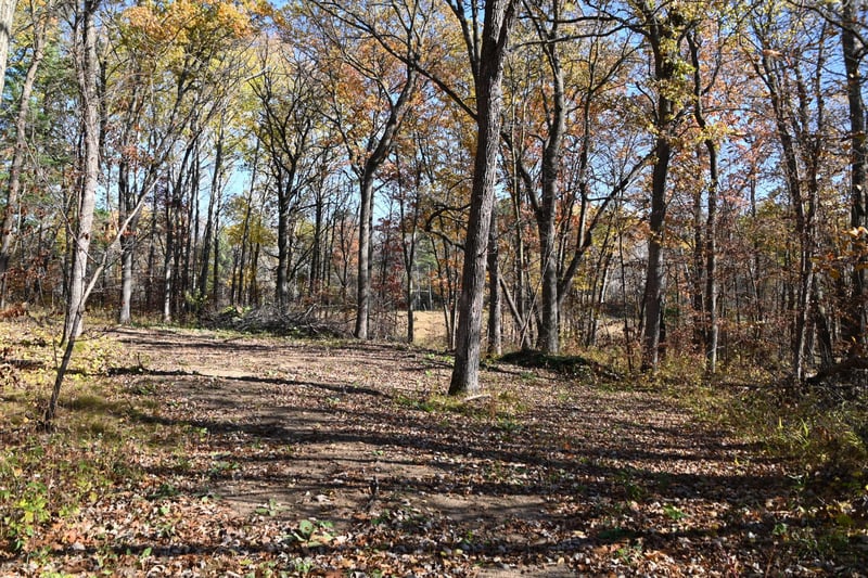 39884 Pine Island Pt Dr, Browerville, MN 56438