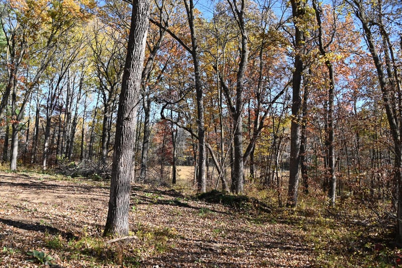 39884 Pine Island Pt Dr, Browerville, MN 56438