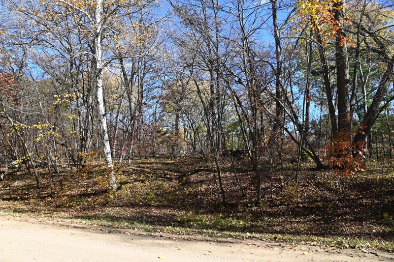 39906 Pine Island Pt Dr, Browerville, MN 56438
