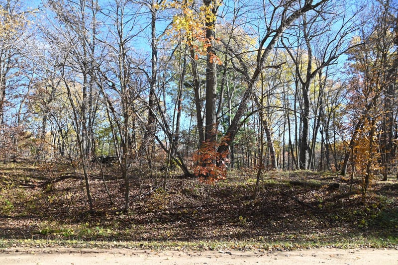 39906 Pine Island Pt Dr, Browerville, MN 56438