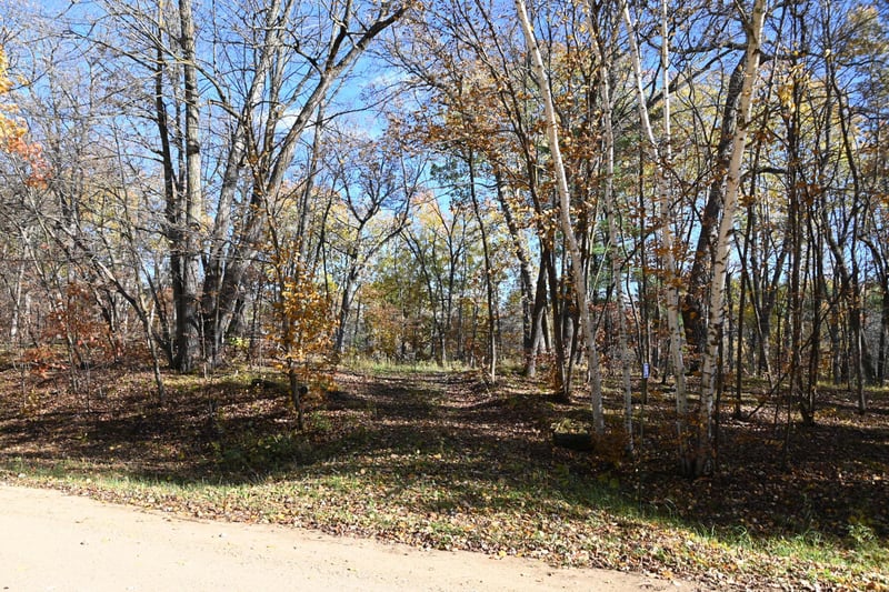 39906 Pine Island Pt Dr, Browerville, MN 56438