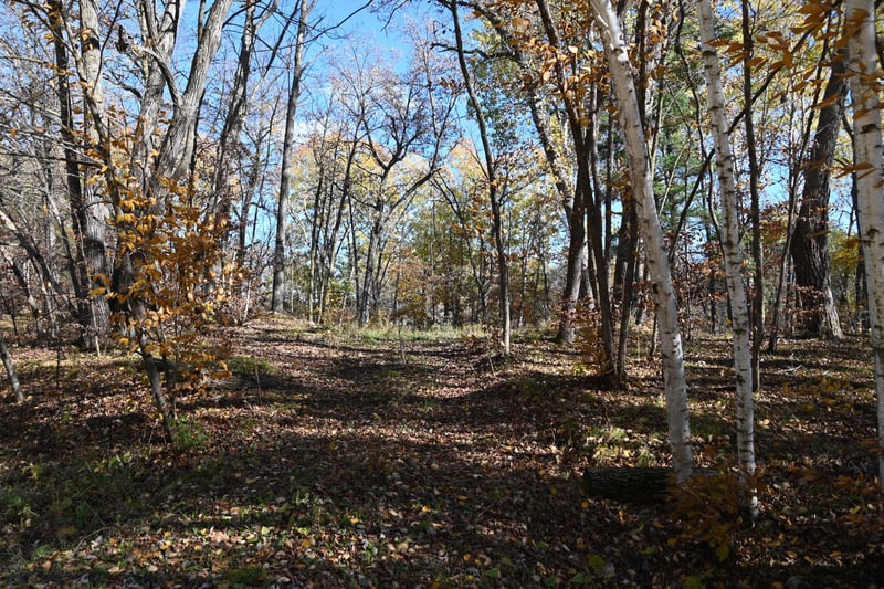 39906 Pine Island Pt Dr, Browerville, MN 56438