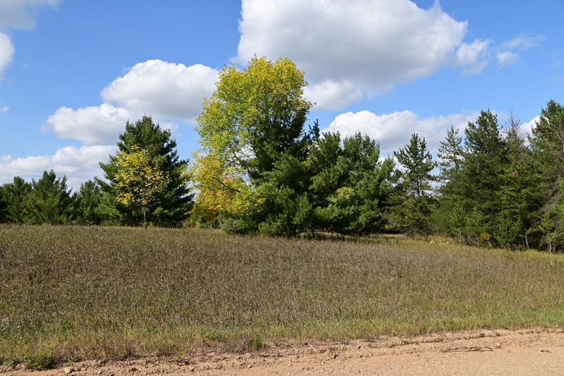 TBD Oak Dr, Browerville, MN 56438