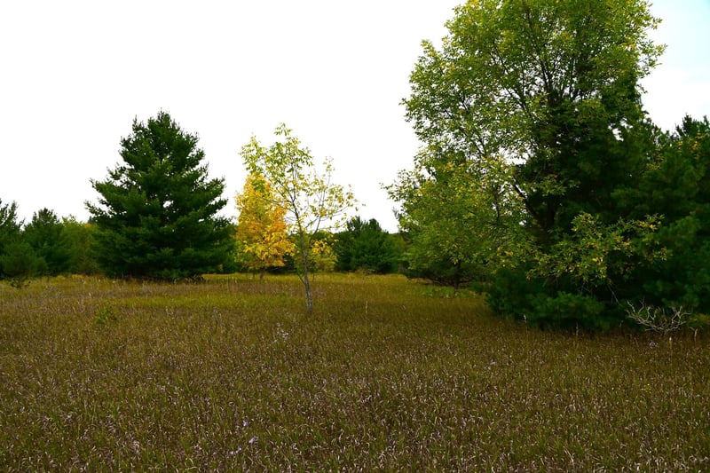 TBD Oak Dr, Browerville, MN 56438