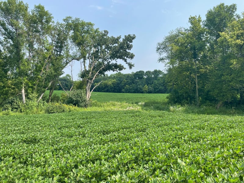 TBD Dodd Rd, Kilkenny, MN 56057