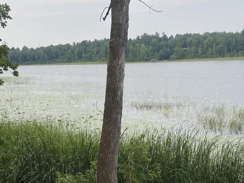TBD Wolf Ridge Dr, Cass Lake, MN 56633