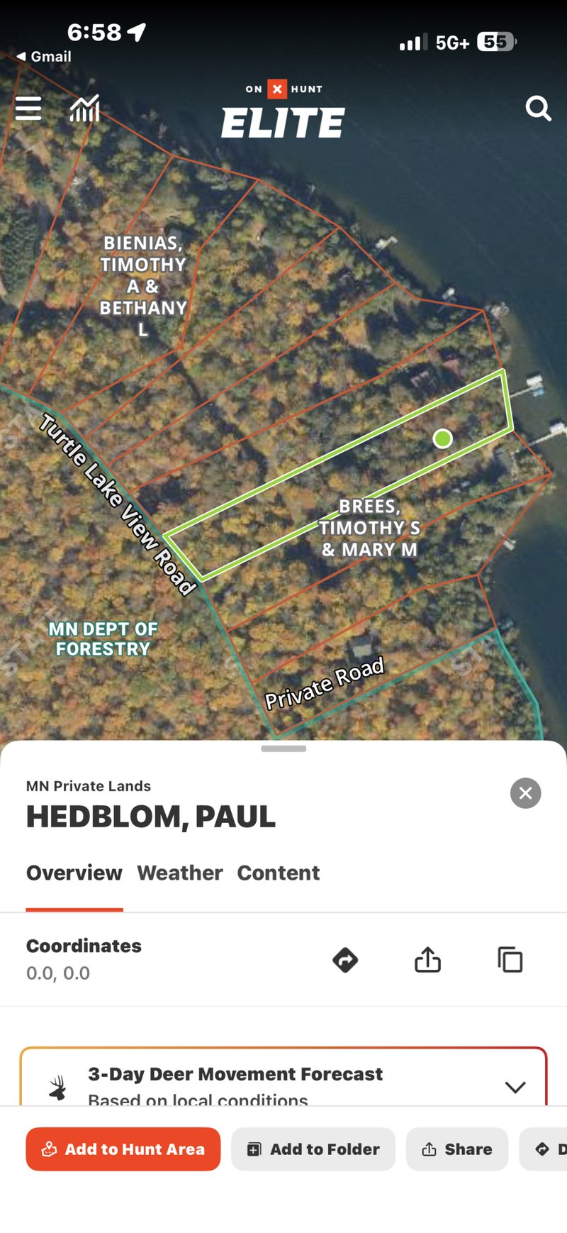 41622 Turtle Lake View Trl, Bigfork, MN 56628