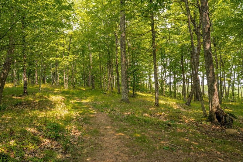 85685 Eightpoint Ln, Bayfield, WI 54814