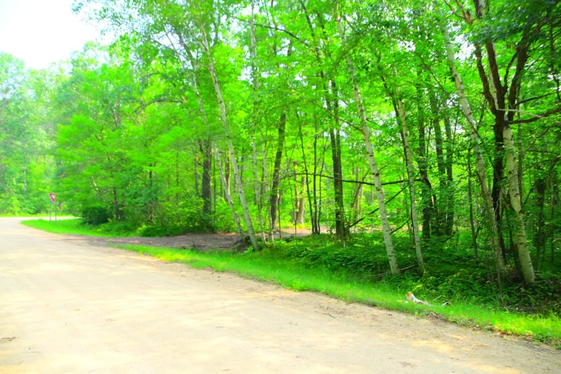 27537 Ode Cir, Browerville, MN 56438