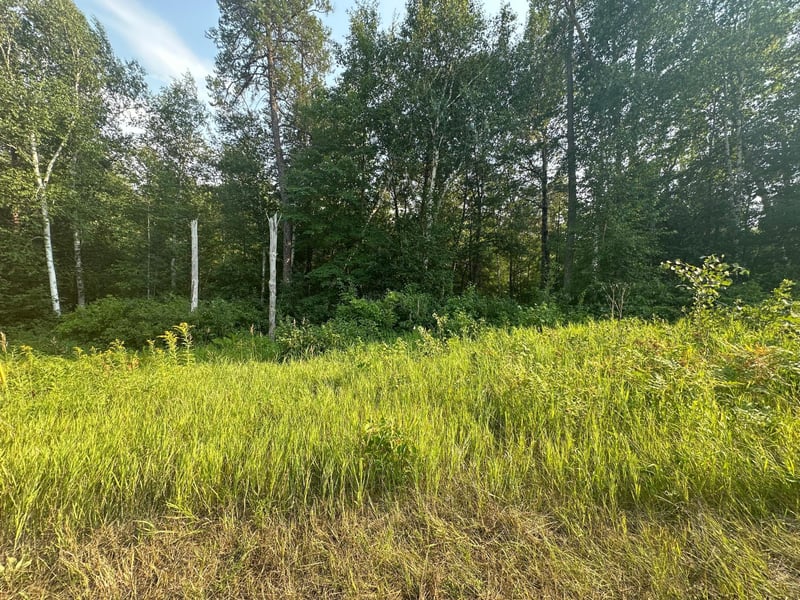 TBD Ski Chalet Dr, Breezy Point, MN 56472