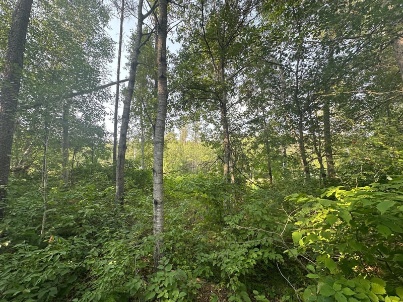 TBD Ski Chalet Dr, Breezy Point, MN 56472